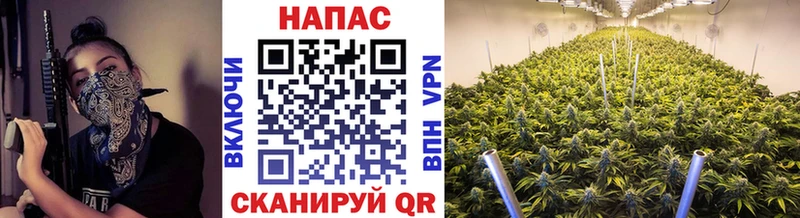 Виды наркоты Новоаннинский Бутират ГАШ Галлюциногенные грибы Alpha-PVP АМФ