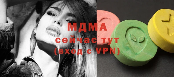 хмурый Алексин