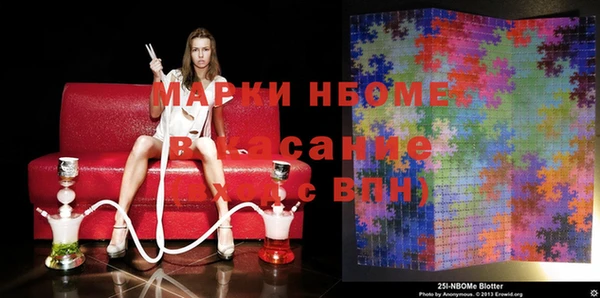 хмурый Алексин