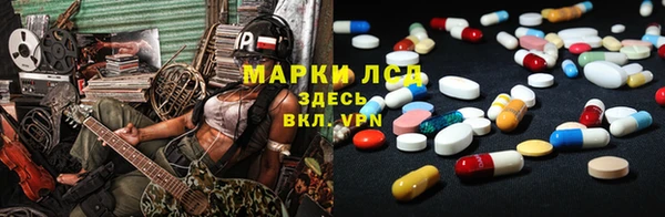 хмурый Алексин