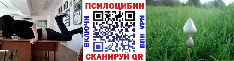 Галлюциногенные грибы MAGIC MUSHROOMS  даркнет сайт  Новоаннинский 